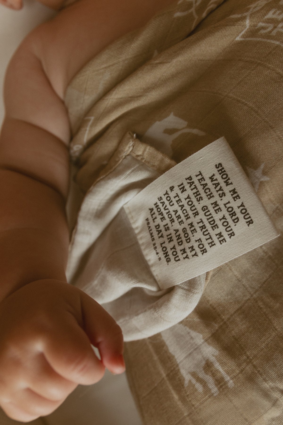 Jesus Take The Reins Cowboy Swaddle Blanket