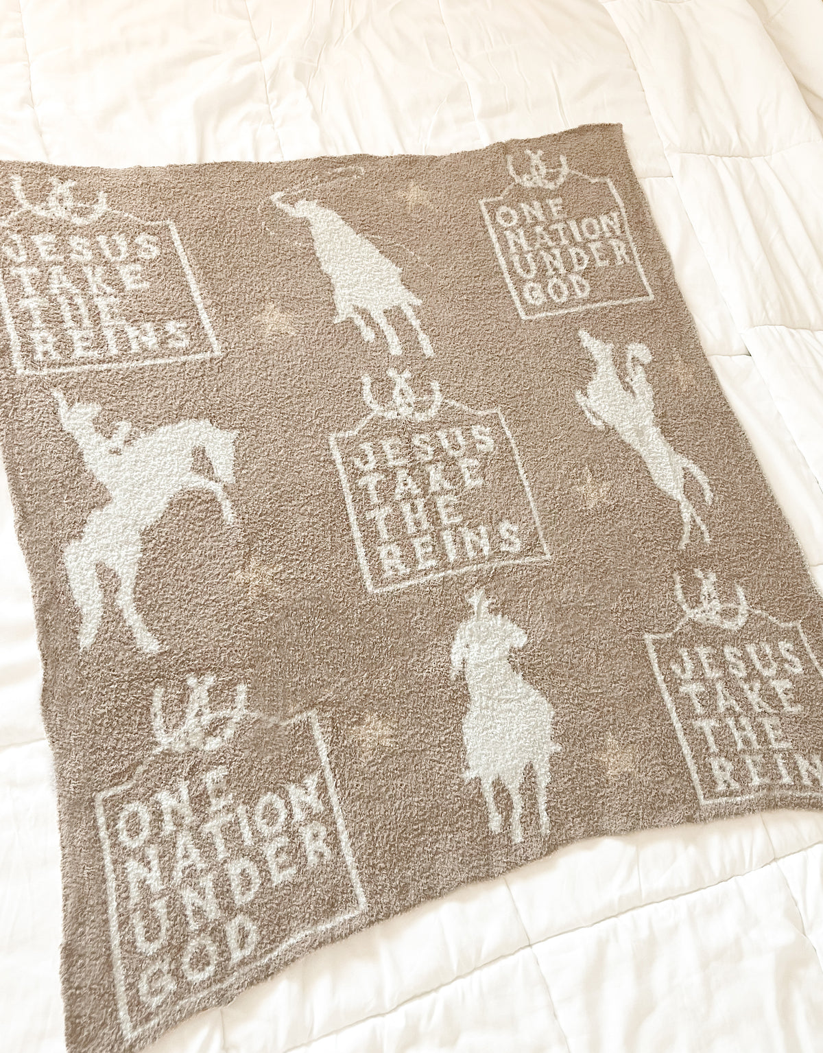 Jesus Take the Reins Plush Blanket