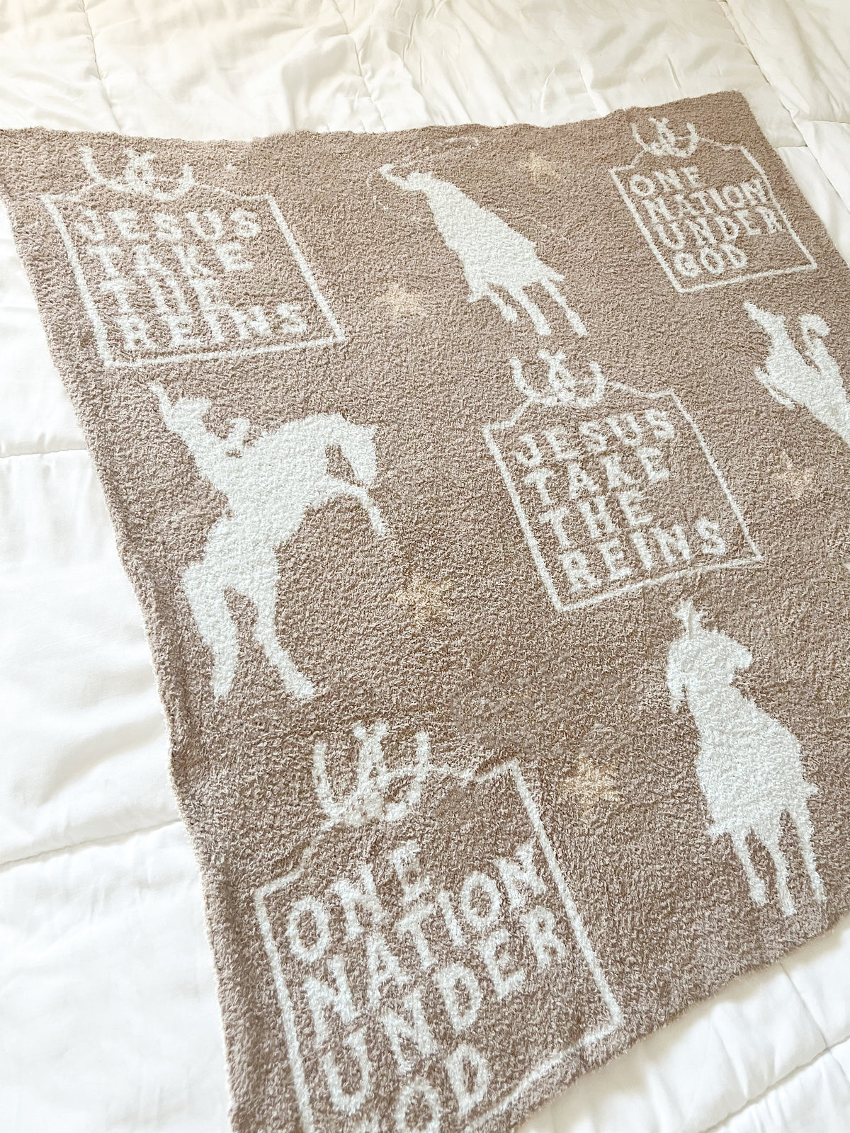 Jesus Take the Reins Plush Blanket