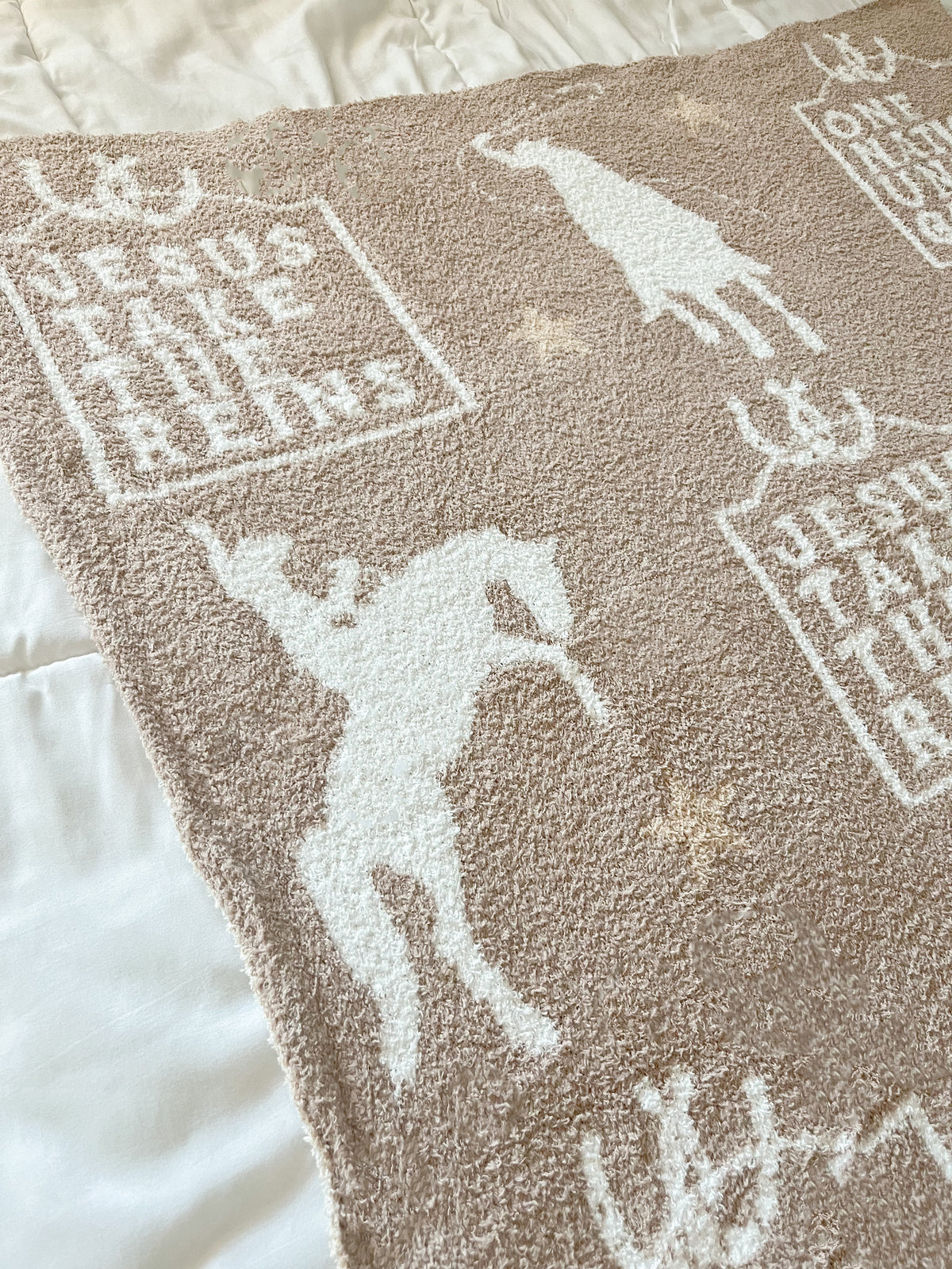 Jesus Take the Reins Plush Blanket