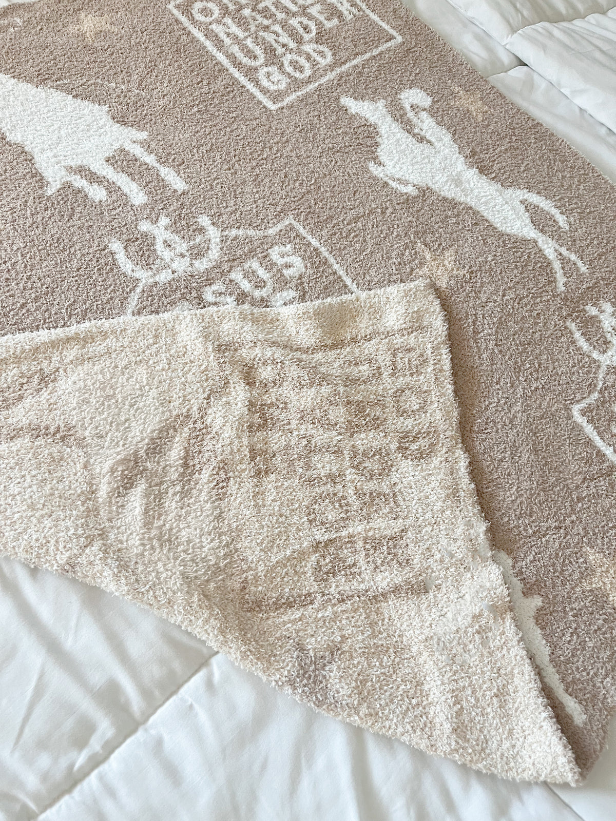 Jesus Take the Reins Plush Blanket