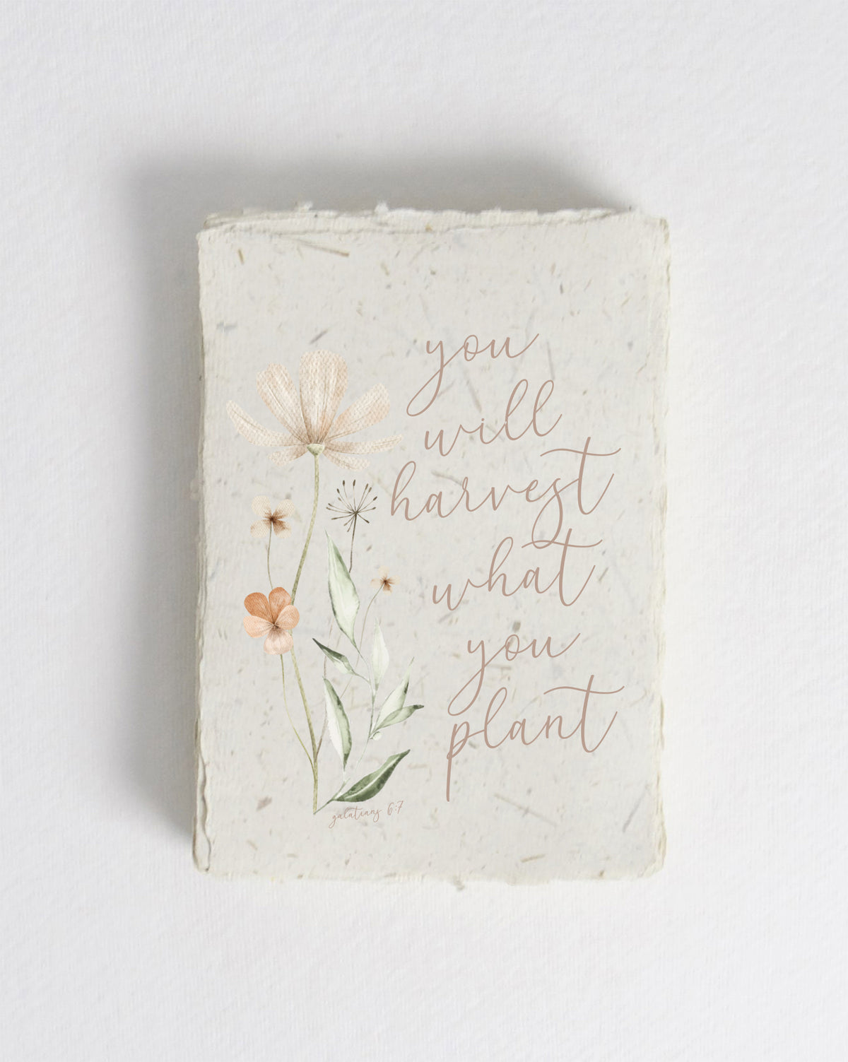 You Will Harvest Cotton Print